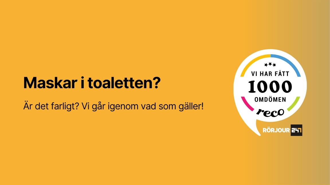 Maskar i toaletten? Orsaker, lösningar & förebyggande åtgärder