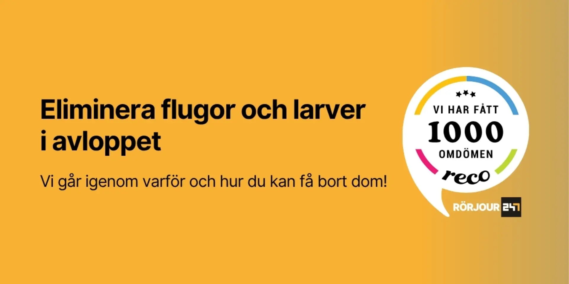 Eliminera flugor och larver i avloppet